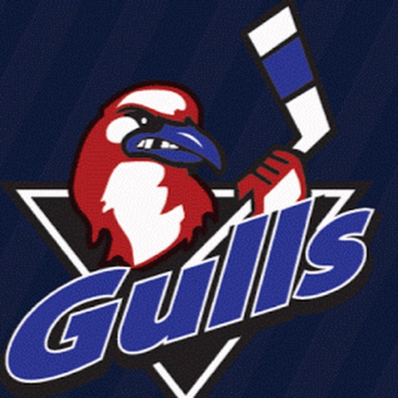 gulls91
