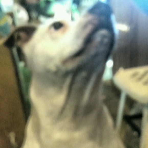 brattgurl