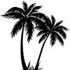 3palmleaves