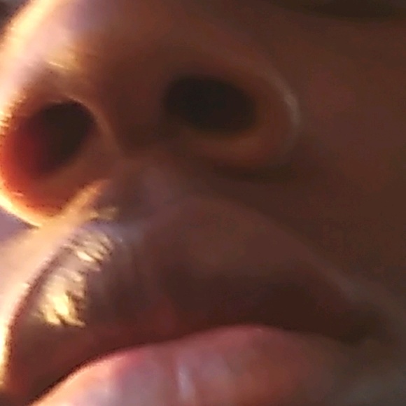 aseere_sean