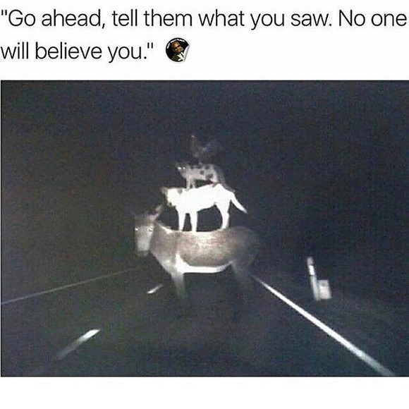 dat400nigga