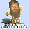 foxredbeard