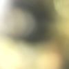 amscray