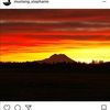 alyssahockaday