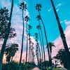 sumayya95