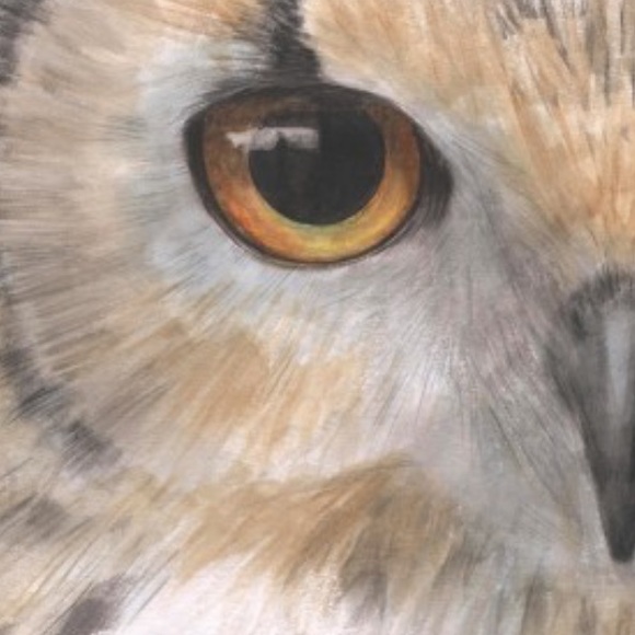 pluma54