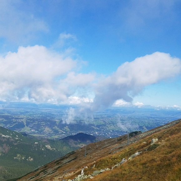 basiano