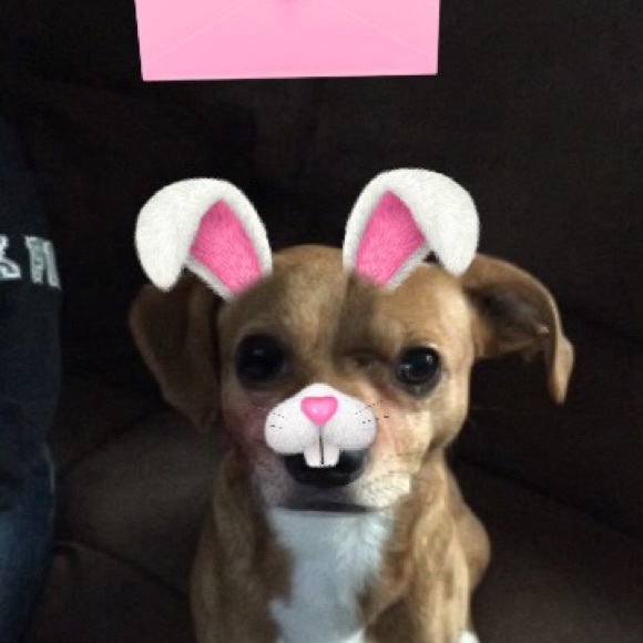 phallmickey