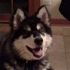 kacper_jach