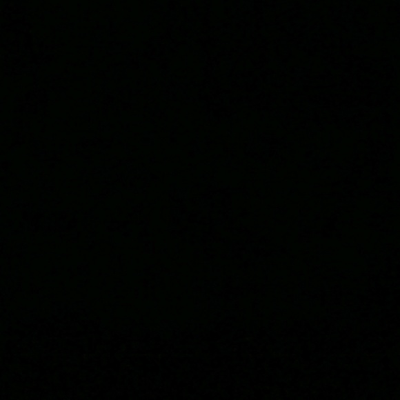 alepint0_