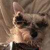 thecoopersmom