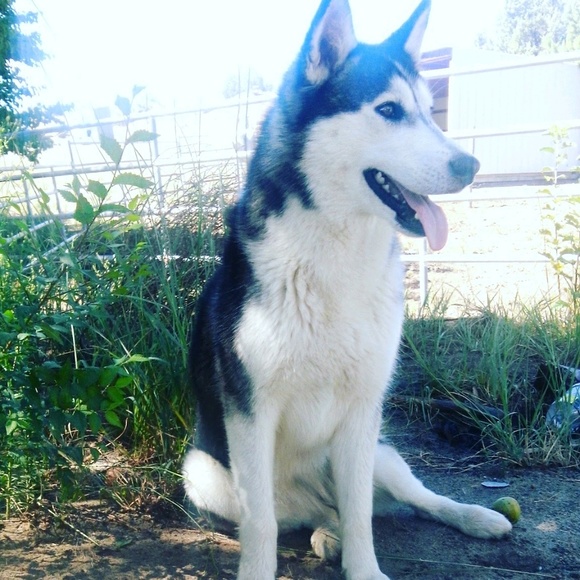 bereegonavi