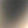 mjsegreto