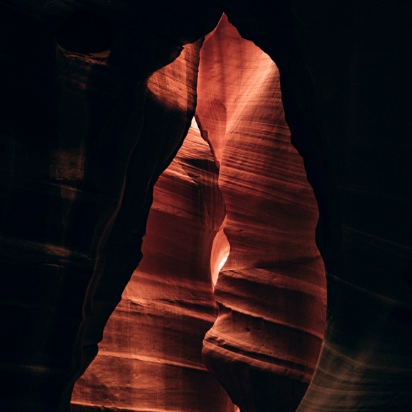 peter_forster