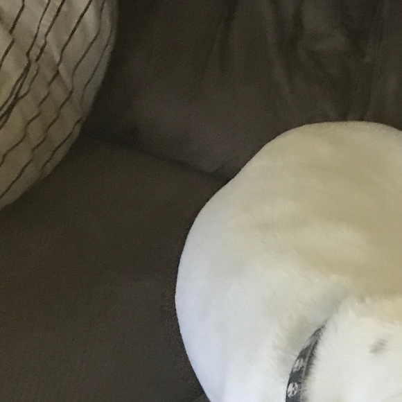 bduck01