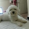 devonte88