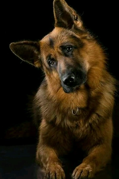 patsy98