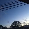 charlotte_f05