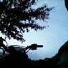 450alex