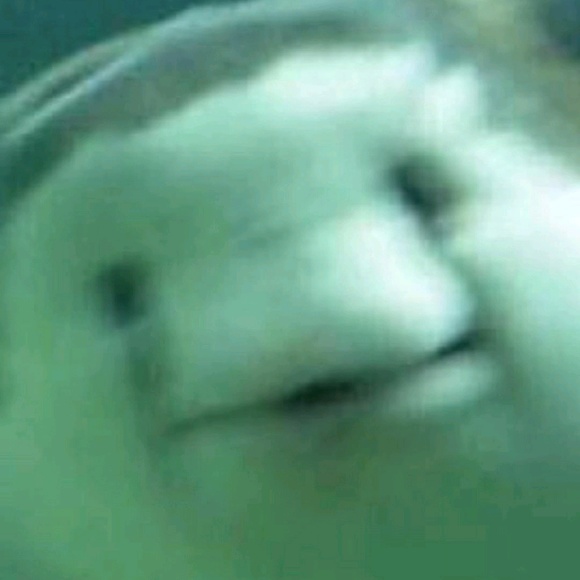 plooboobl