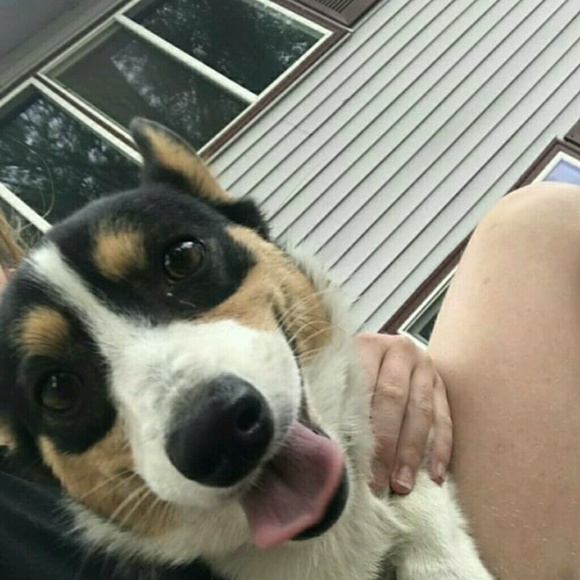bjrosebobbi