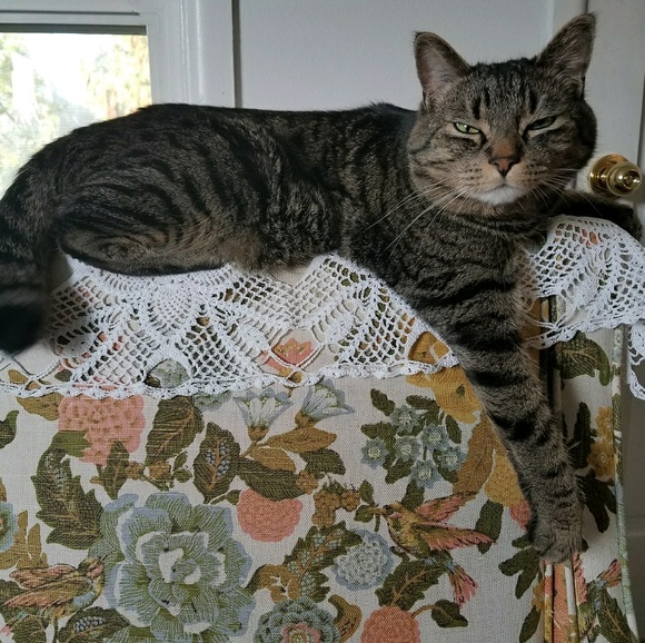 elvindie