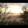 cestewart11