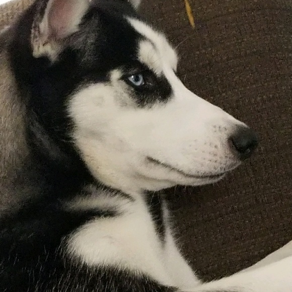 bella_12345266