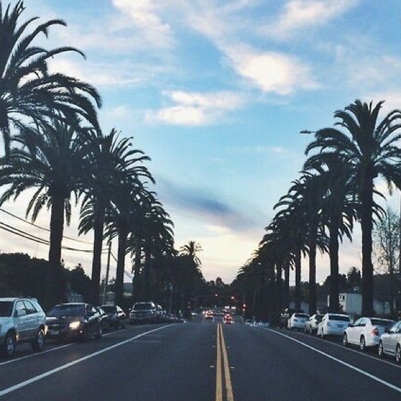 lilly_9