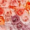 arzoo96