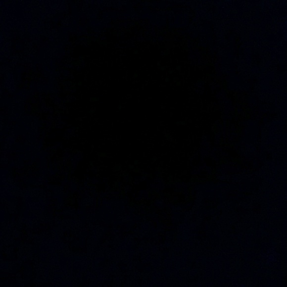 aaronlevi2