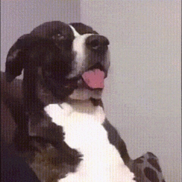 cheyennesmelly