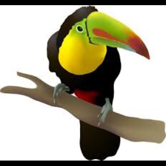 southerntoucan