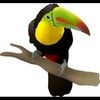 southerntoucan