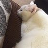 krystalraejrb