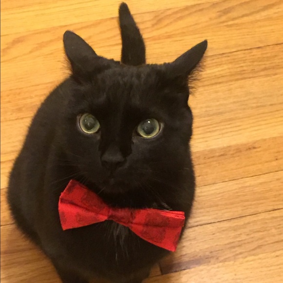 hoffie314