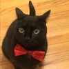 hoffie314