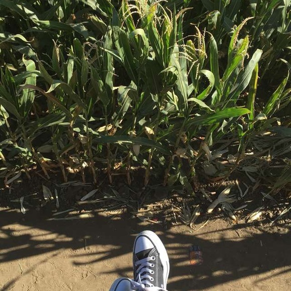 mj1601