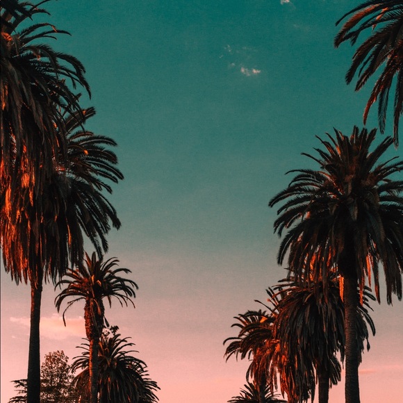 cainla0310