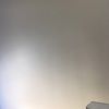 traecoop20