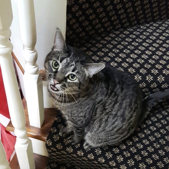smunkababy