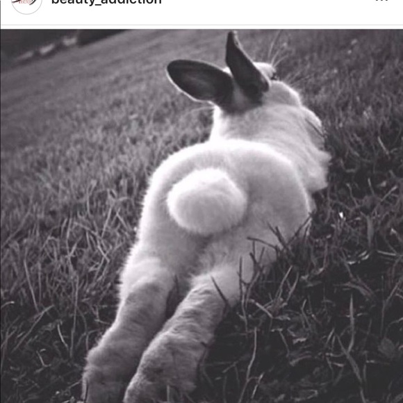 hunnibunni1