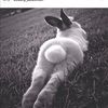 hunnibunni1