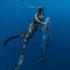 spearfishing