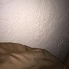 tommy_100
