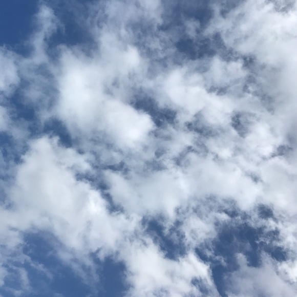 jayking_3