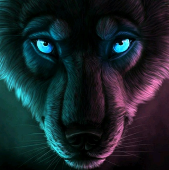 ajackie12