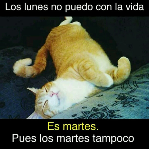 liscervantes