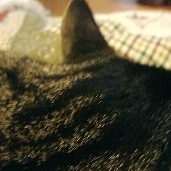nquade1