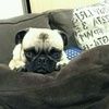 ericats_pr